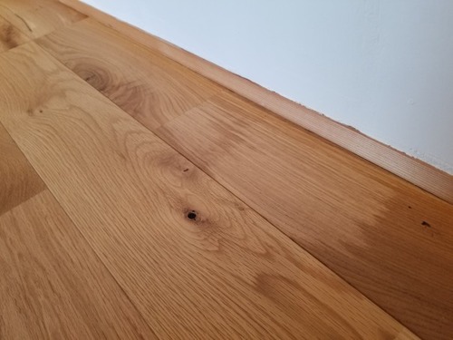 ����������������̵���ե������ �ͥ����åɥ��졼�ɡ���