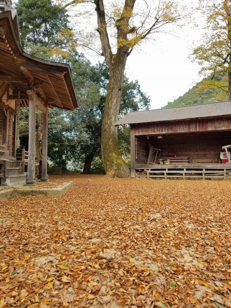 ��ë���޿��ҤΥ��䥭��