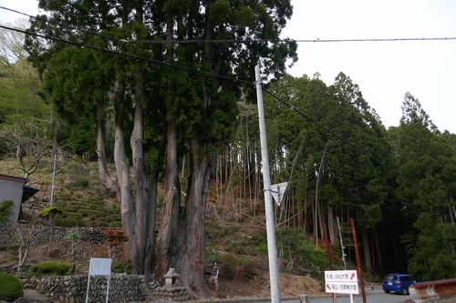 µÈÂô¤ÎÅĹâ¿ù£¸