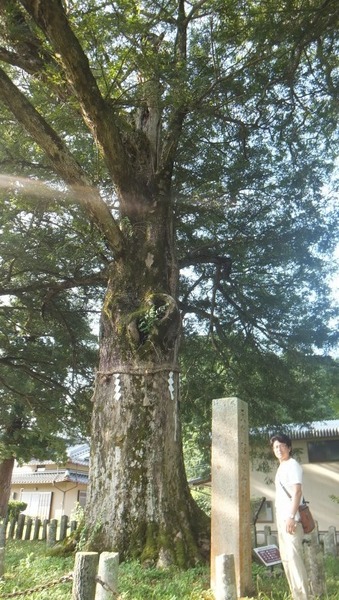 ���֤Υϥ������䣹