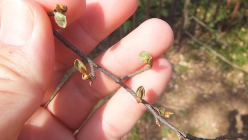 ²¼²£¾ì¤ÎÂ祰¥ß6