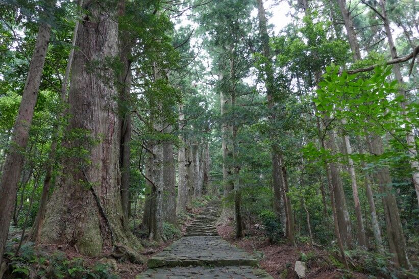 この先の心持ち