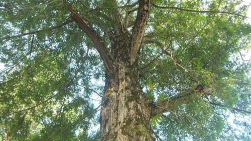 ���֤Υϥ������䣱��