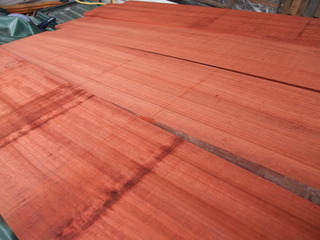 ¥Ñ¥ª¥í¥Ã¥µÈÔ¤³ä¤ê£³