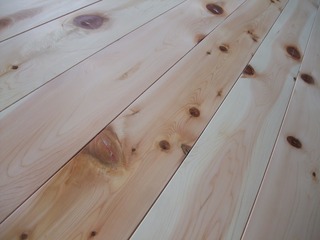 �������������ġ��Ĥ��Ĥ�����