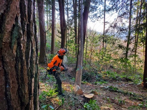 ������������������֤�����Ȳ�μ��� 2023 ��