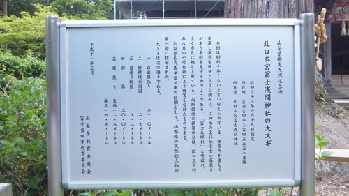 北口本宮さんの森 4