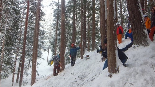 ȲºÎ¼Â½¬£±£±