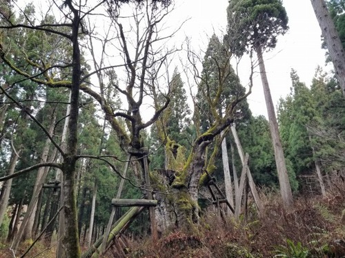 ���Ĥ���ȥ�4