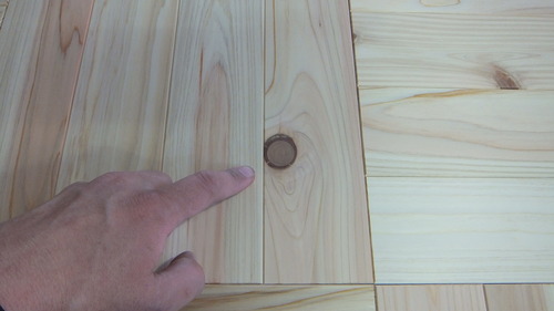 Shikiyuka �ҥΥ�2