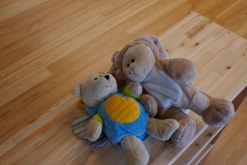 ԥ奢顼̵ʪե󥰡ץߥ졼 룱