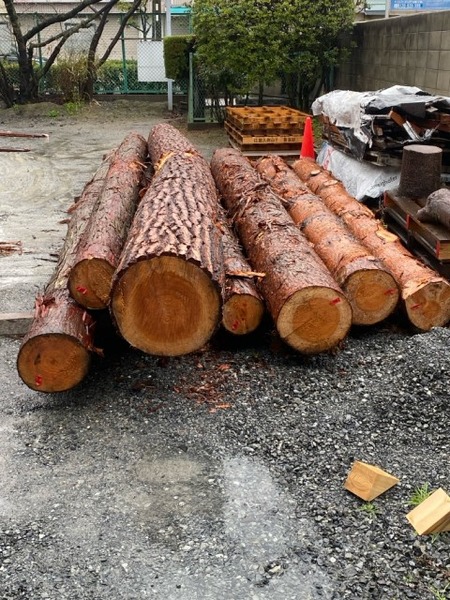 ÈôÂͤδÝÂÀ Æþ²Ù£²