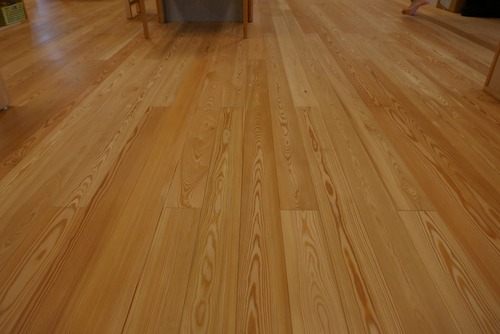 ԥ奢顼̵ʪե󥰡ץߥ졼 룶