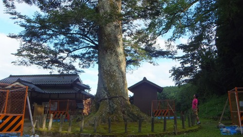 Äɼê¿À¼Ò¤ÎÀéǯ¥â¥ß£¶