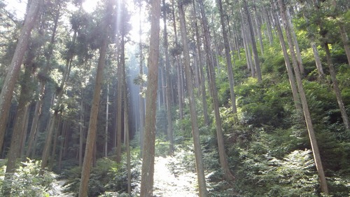 ���ǹͤ��뤳�ȡ���