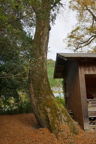 ��ë���޿��ҤΥ��䥭7