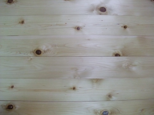 ǽÅÐ¥¢¥Æ¡Ê¤Ò¤Ð¡¦¤Ò¤Î¤¤¢¤¹¤Ê¤í¡ËÉý¹Ìµ¹¤°ìËçʪ¥Õ¥í¡¼¥ê¥ó¥°¡¡£´