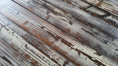 ������ơ������٥̣�