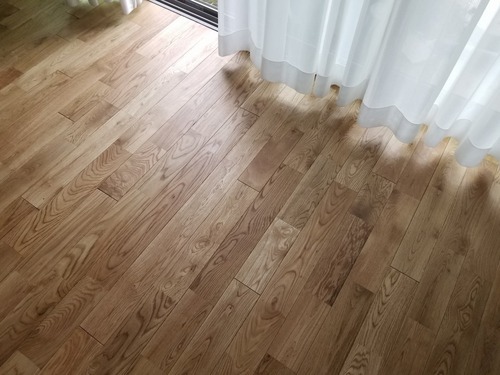 ¥ê¥Õ¥ê¡¼¥Ð¡¼¥ÁÄÌ¾ï £³