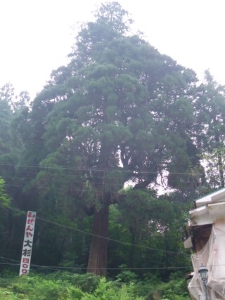 �Ҥ�����������