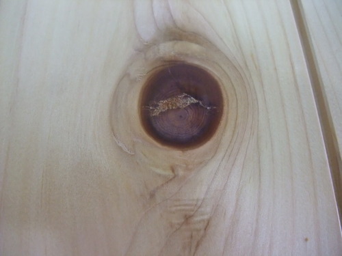 ǽÅФ¢¤Æ¡Ê¤Ò¤Ð¡¦¤Ò¤Î¤¤¢¤¹¤Ê¤í¡ËÉý¹Ìµ¹¤°ìËçʪ±©ÌÜÈÄ¡¡£¸