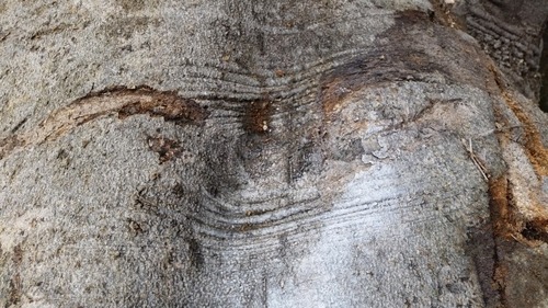 �д��á�����