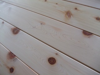 �������������ġ�V����