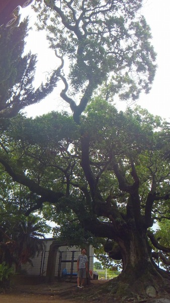 Ļ��ȬȨ�ܤΥۥ�ȥΥ�����