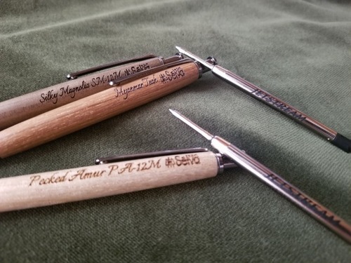 ¥¸¥§¥Ã¥È¥¹¥È¥ê¡¼¥à¿ÄÂбþ¥Î¥Ã¥¯¼°ÌÚÀ½¥Ü¡¼¥ë¥Ú¥ó¡¡£±£³