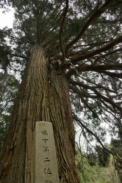 ¹Å縩¾±¸¶»Ô ·§Ìî¿À¼Ò¤ÎÏ·¿ù¡Ê¤í¤¦¤µ¤ó¡Ë¤È¿ùÂç¼ù·²£´