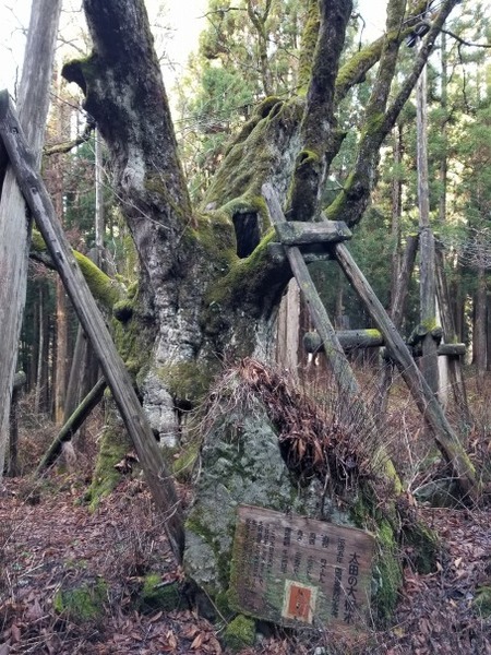 ���Ĥ���ȥ�10