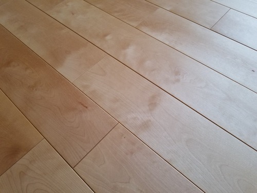 ��������С�������̵���Ĥʤ���V�¥ե�����󥰡��ץ�ߥ�����