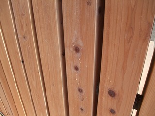 ¿·ÌÚ¾ìÌÚºà²ñ´Û¡¡£²