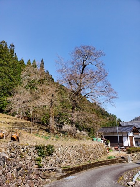 ���奶���� 1