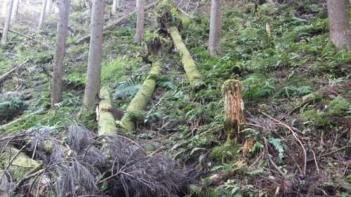 ����������ˡ����