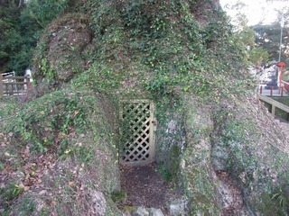 ³÷À¸¤ÎÂ祯¥¹¡¡£±£±