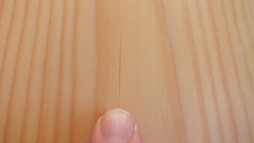 �н��־�����̵������ʪ�ե�����󥰣���