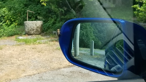 ƶ�Υ��ĥ顡��