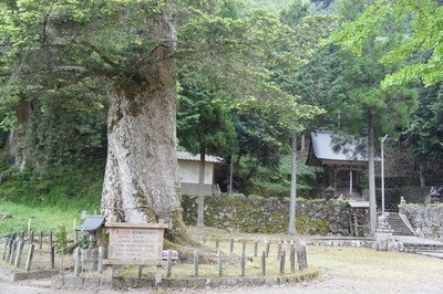 �ɼ���ҤΥ�ߡ���