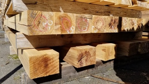 �ܼ�������ƺ�