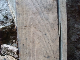 ����̱�ȣ�