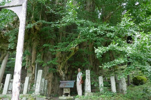 ������Υ����祦������