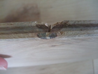 ����������������̵���ե�����󥰡�V���쥯����󥰥졼�ɣ���