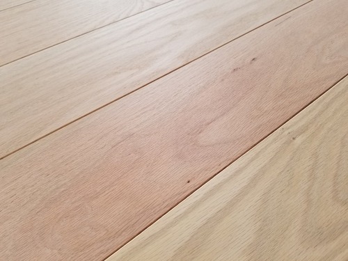 ������ �졦�ޡ��֥�����̵������ʪ�ե������ ���쥯�����8