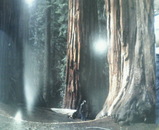 ����Ҳ�ڡ��������㥤����ȥ�������