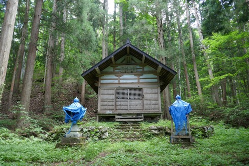 ƶ�Υ��ĥ顡18