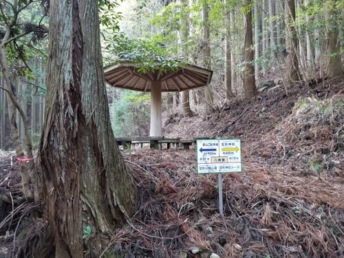 ³Þ·Á¿À¼Ò¤ÎÂ祹¥®¡ÊÉ×ÉØ¥¹¥®¡Ë£²