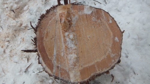 ȲºÎ¼Â½¬£±£³