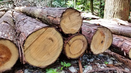 ��带������