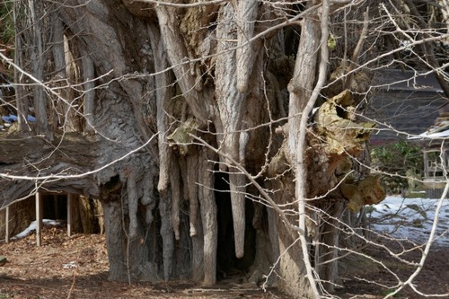 �̶�����Υ����祦14